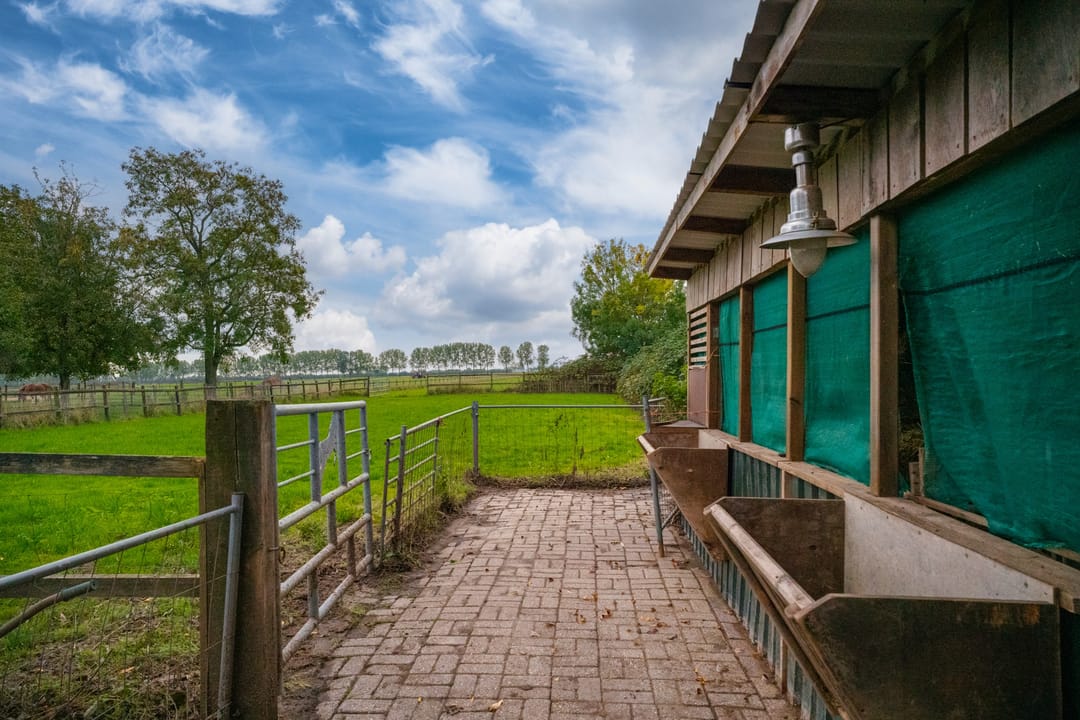 Foto 43 van Koestraat 31