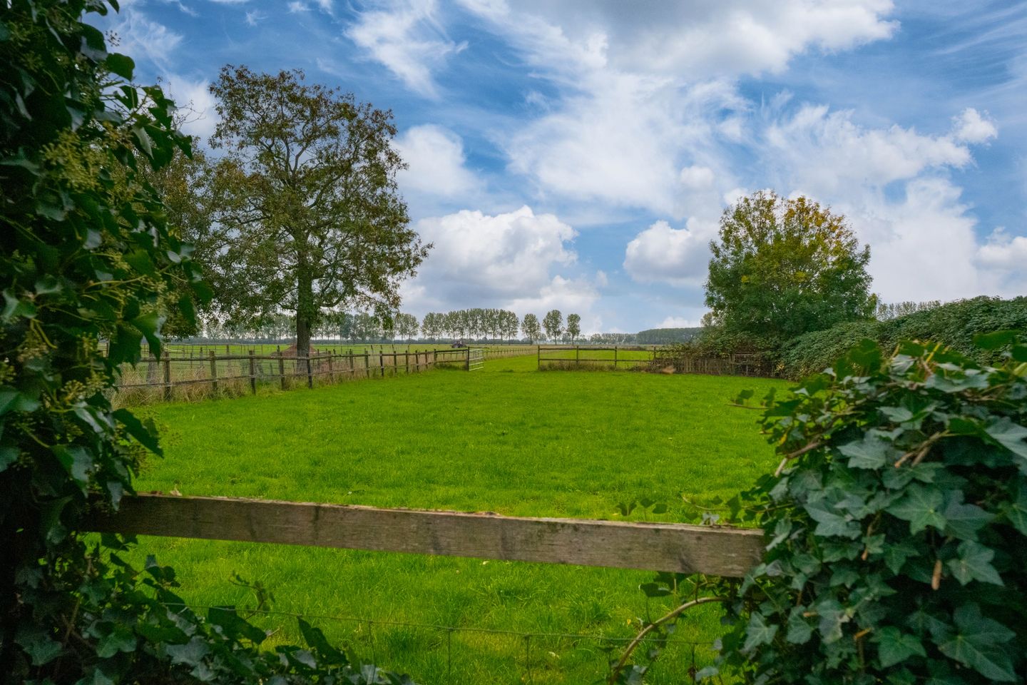 Foto 44 van Koestraat 31