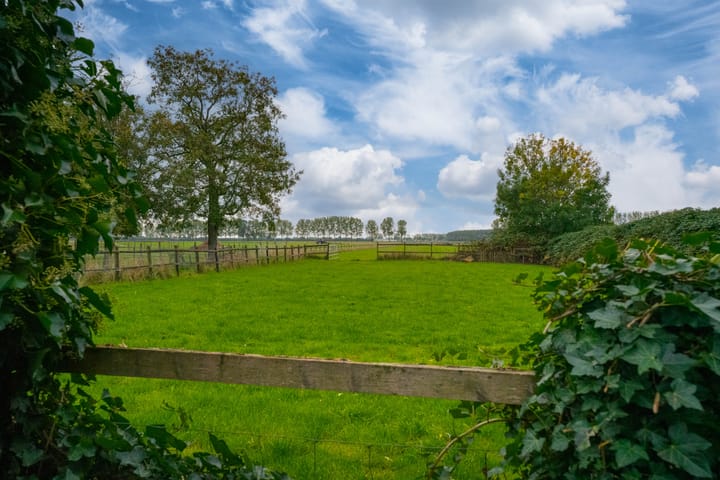 Foto 44 van Koestraat 31