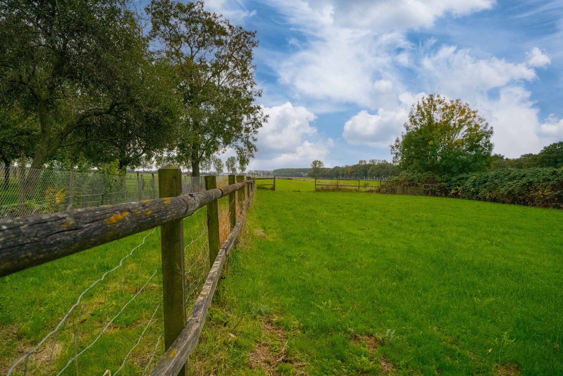 Foto 45 van Koestraat 31