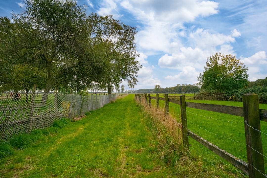 Foto 47 van Koestraat 31