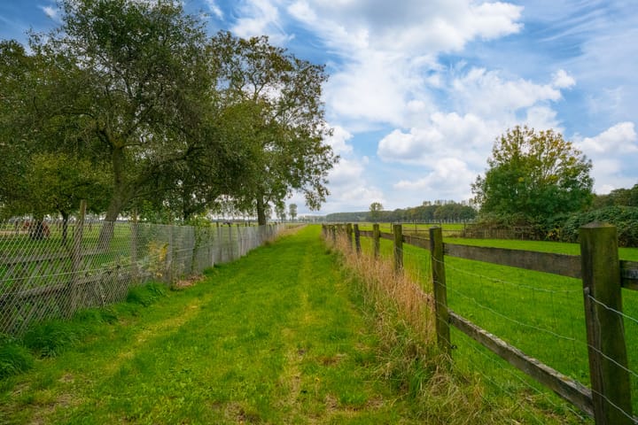 Foto 47 van Koestraat 31