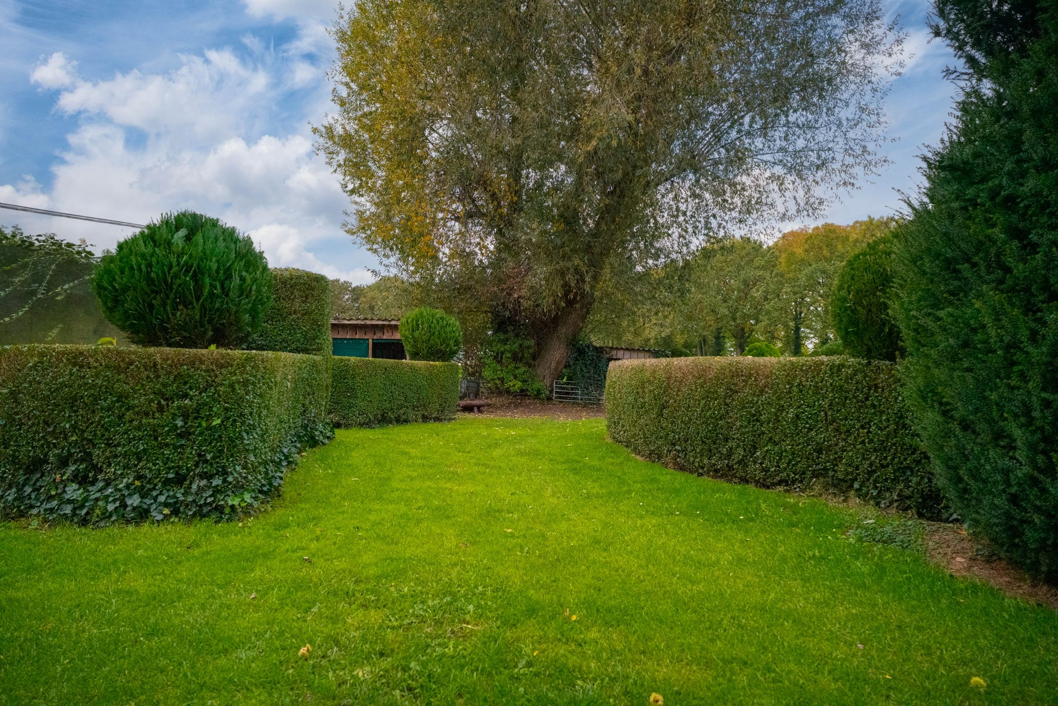 Foto 48 van Koestraat 31