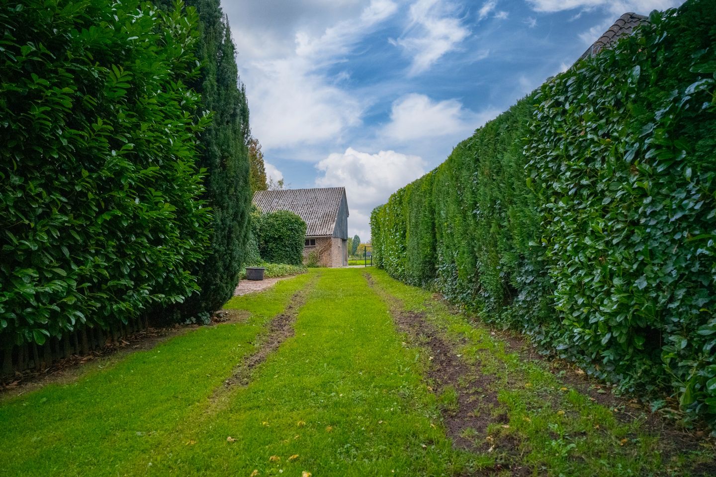 Foto 49 van Koestraat 31