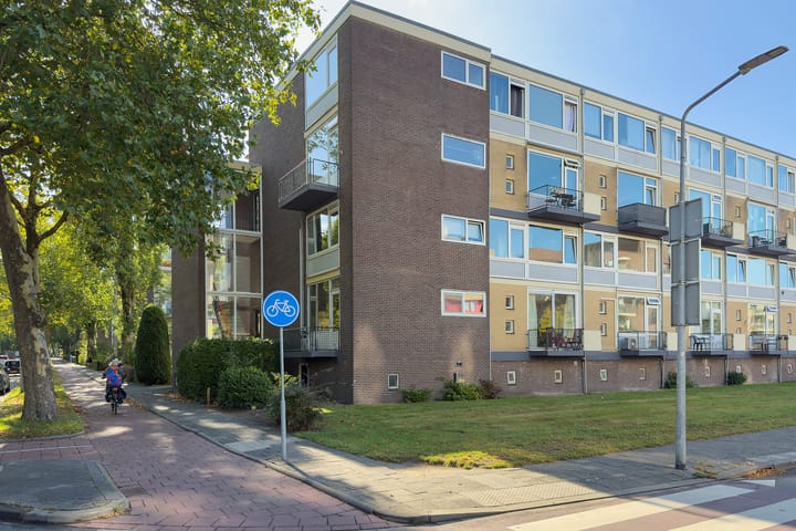 Photo 22 of Karel Doormanlaan 444