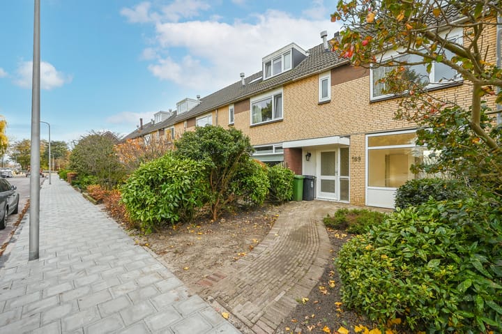 Foto 33 van Rozemarijn 169