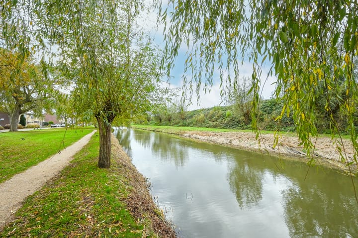 Foto 35 van Rozemarijn 169