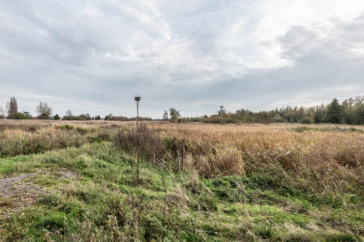 Foto 44 van Patrijzenlaan 9