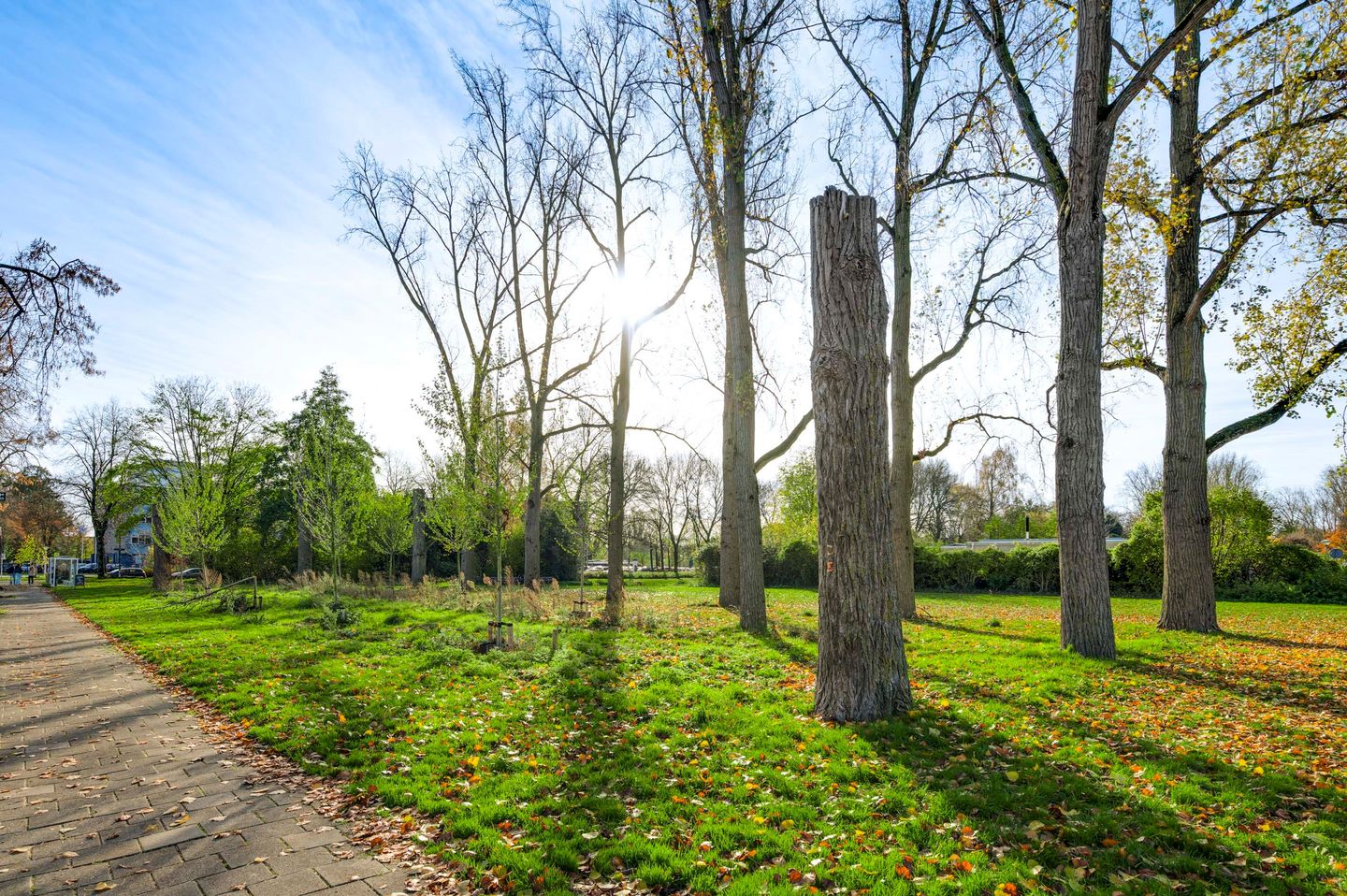 Foto 5 van Willem de Rijkelaan 20