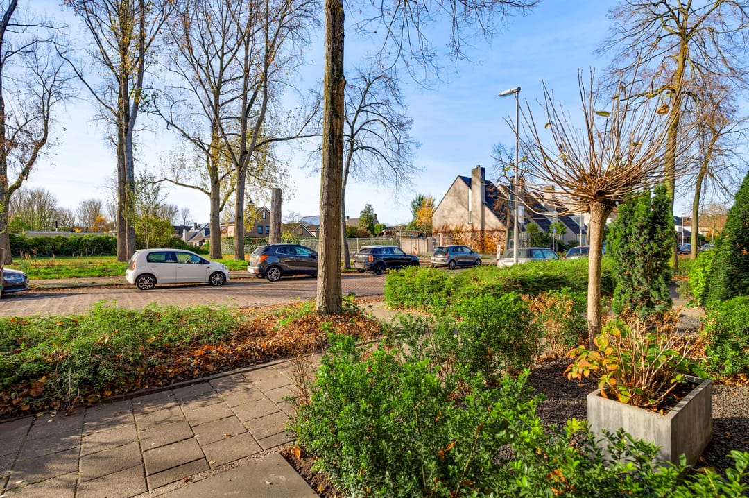 Foto 8 van Willem de Rijkelaan 20