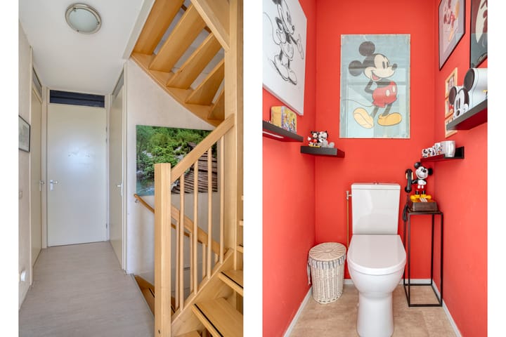 Foto 13 van Valeriaan 95