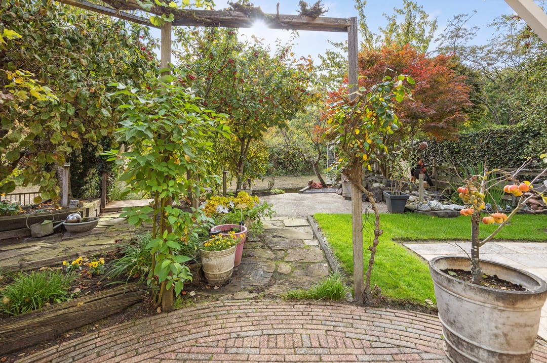 Foto 56 van Stadseiland 60