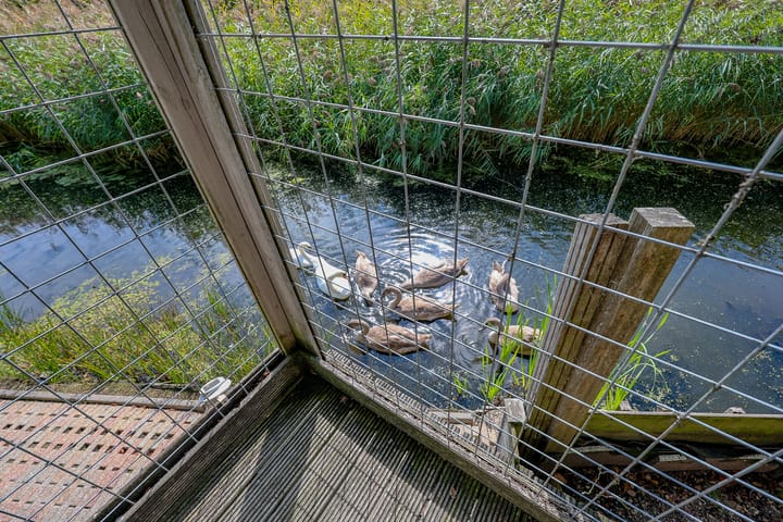 Foto 60 van Stadseiland 60