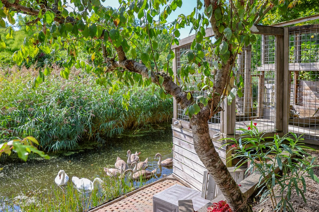 Foto 61 van Stadseiland 60