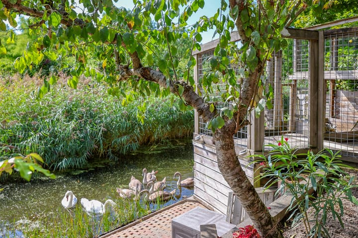 Foto 61 van Stadseiland 60