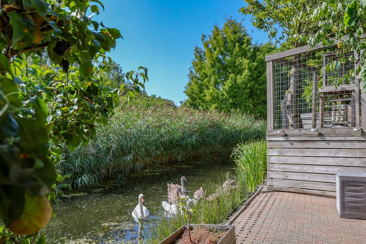 Foto 62 van Stadseiland 60