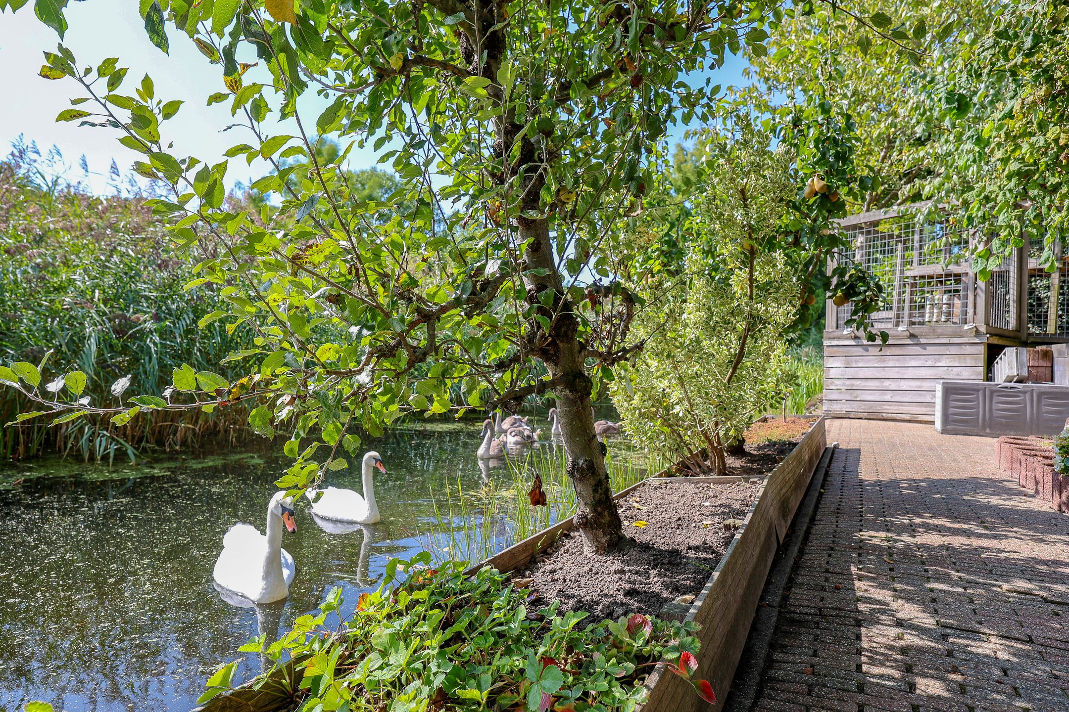 Foto 63 van Stadseiland 60