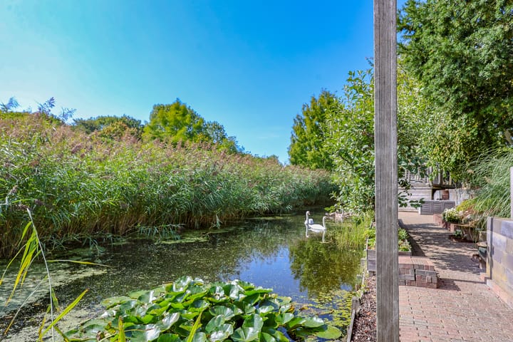 Foto 64 van Stadseiland 60