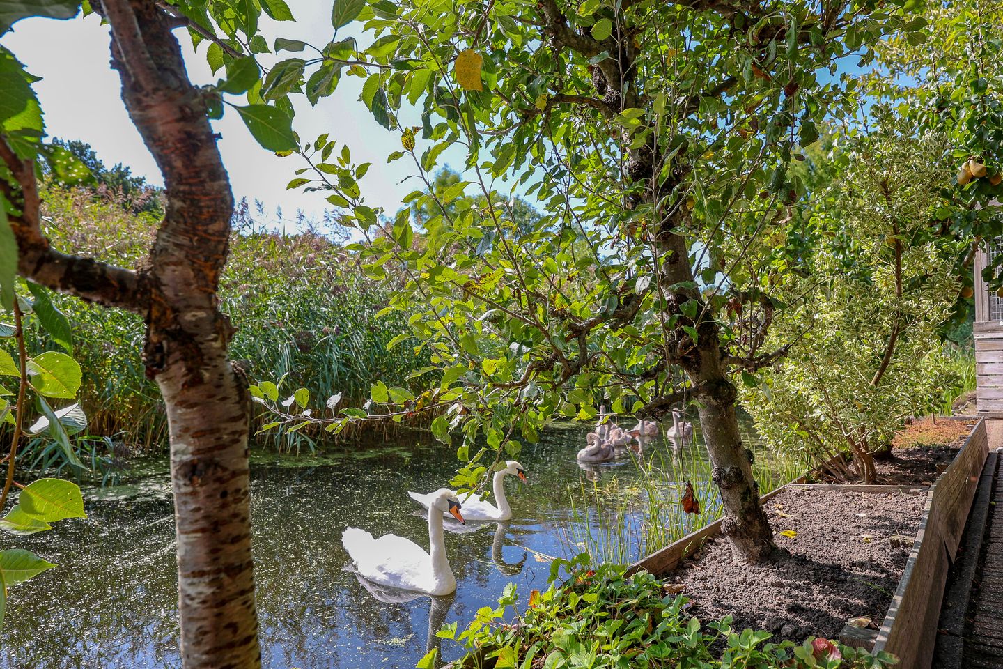 Foto 65 van Stadseiland 60