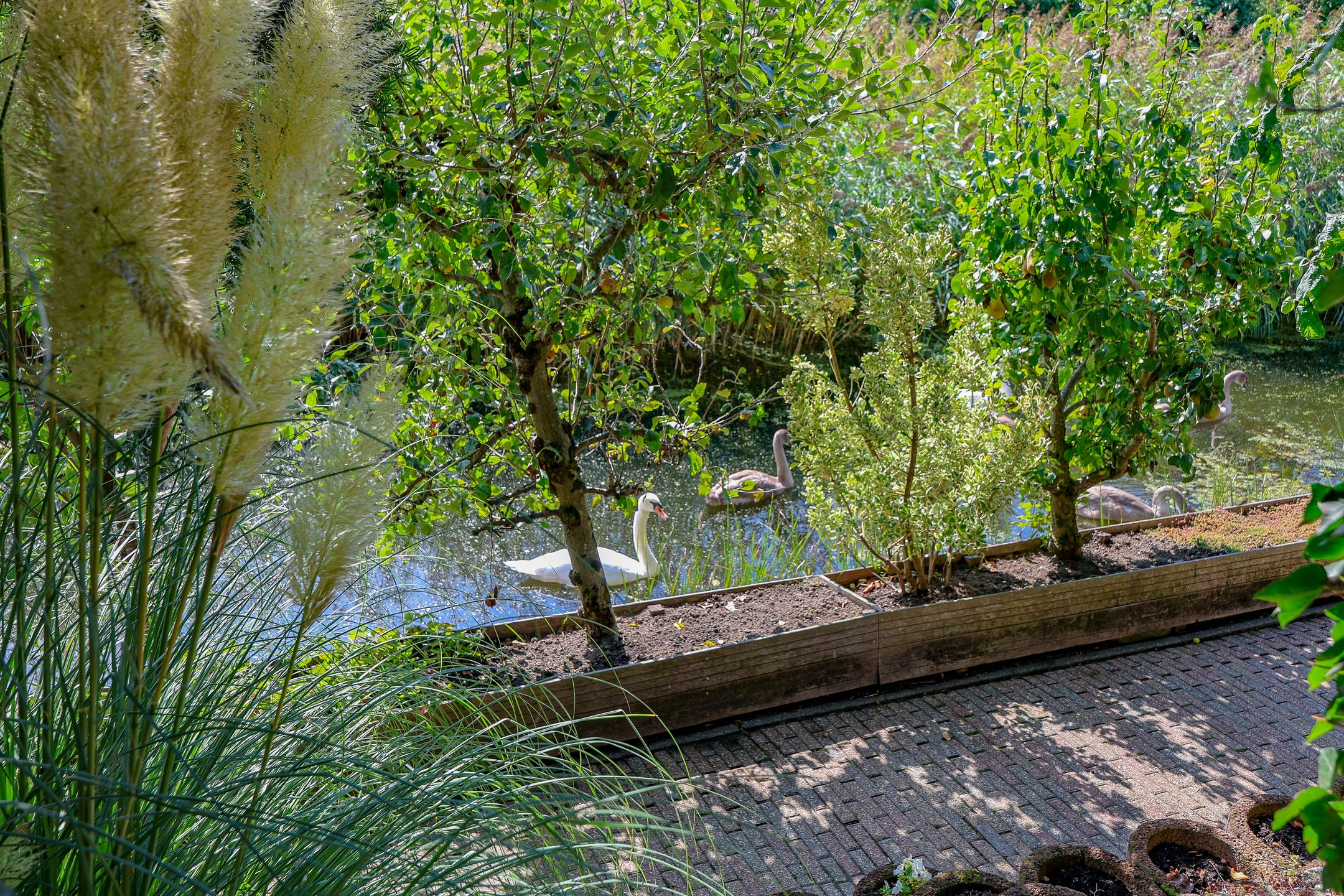 Foto 66 van Stadseiland 60