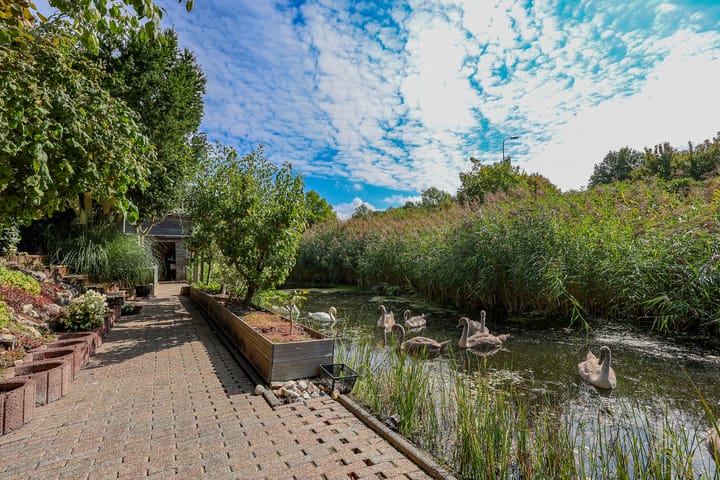 Foto 67 van Stadseiland 60