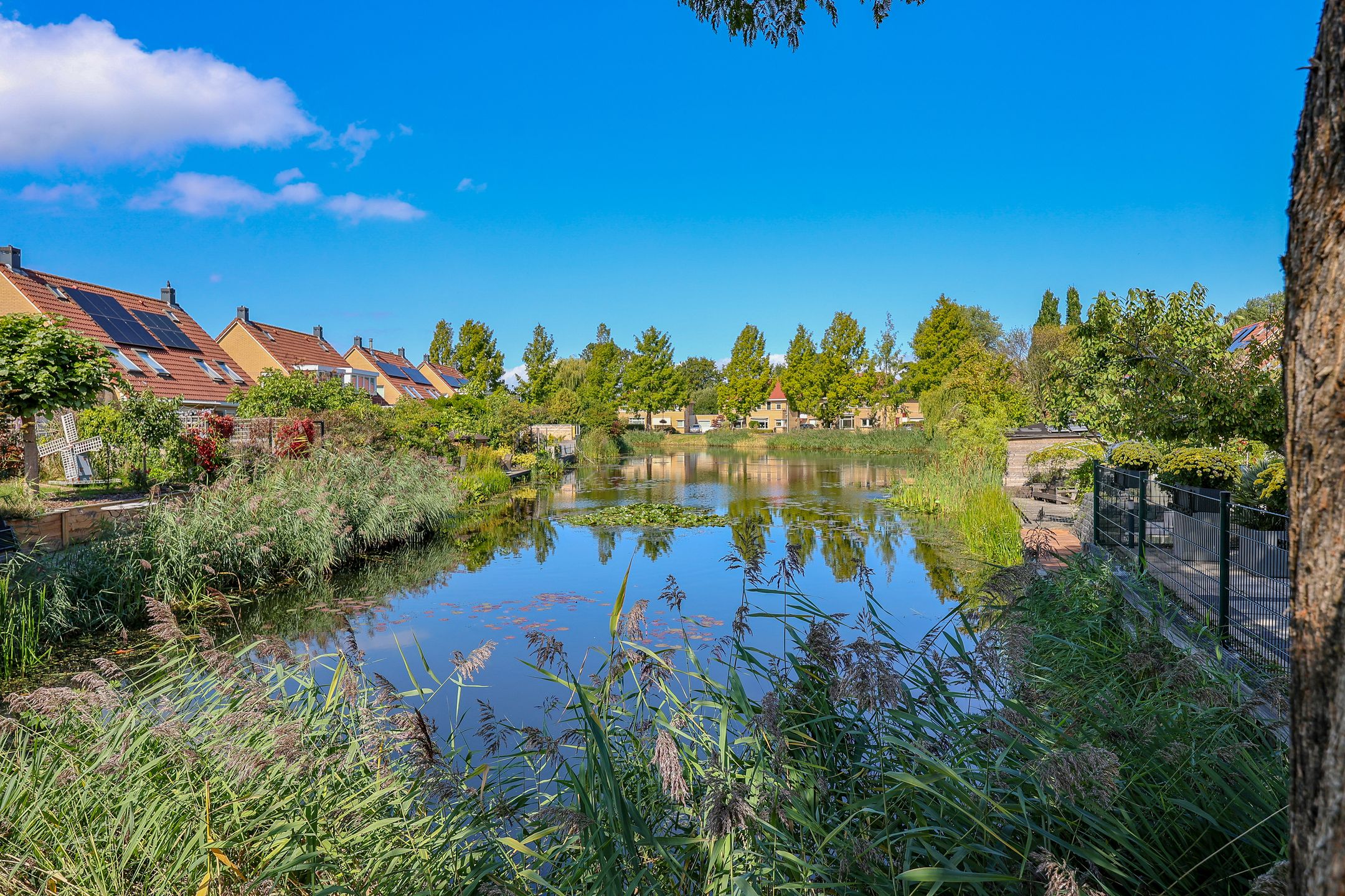 Foto 69 van Stadseiland 60