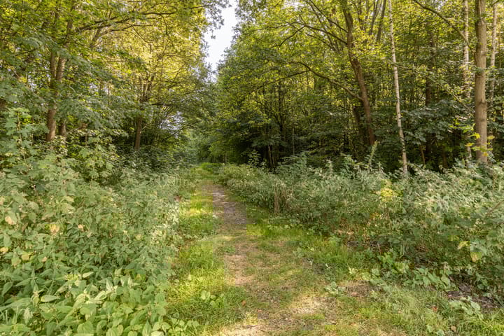 Foto 47 van Akkerweg 34