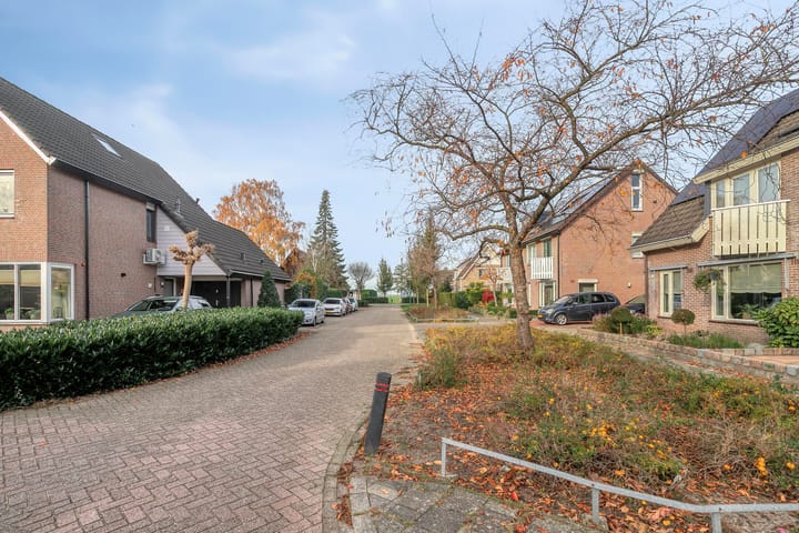 Photo 3 of Plevier 127