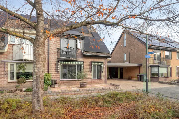 Photo 4 of Plevier 127