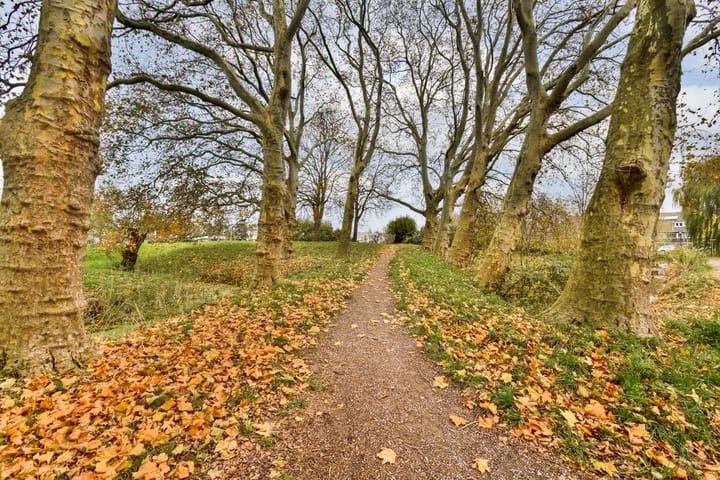 Foto 30 van Kethelweg 28