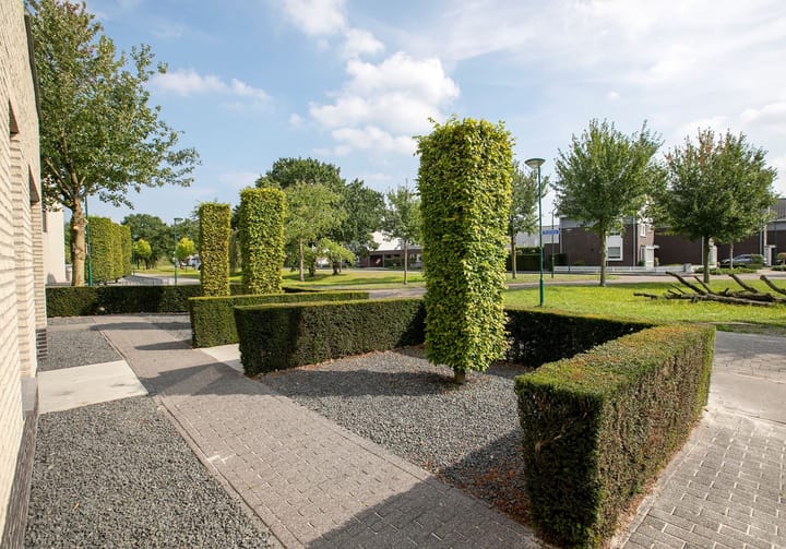 Foto 3 van Windwijzer 2