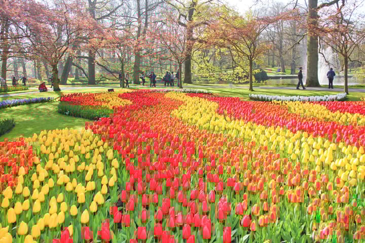 Foto 45 van Beukenlaan 28