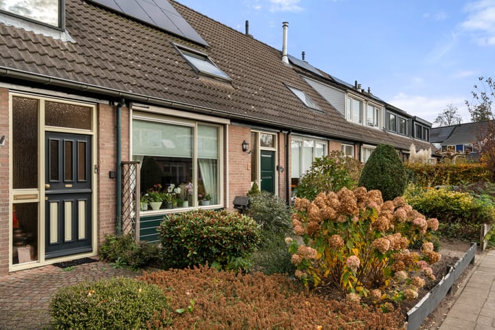 Photo 2 of Boterbloem 10