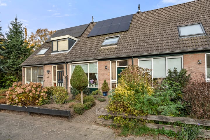 Photo 3 of Boterbloem 10