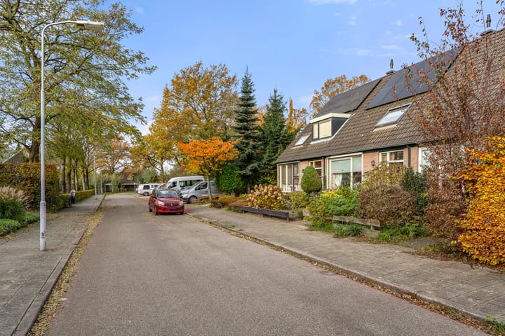 Photo 4 of Boterbloem 10