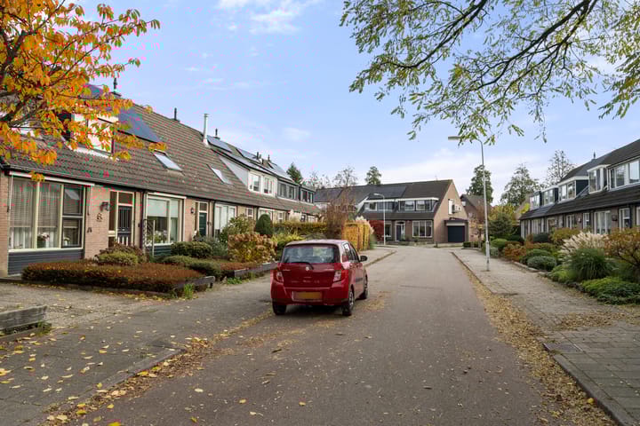 Photo 5 of Boterbloem 10