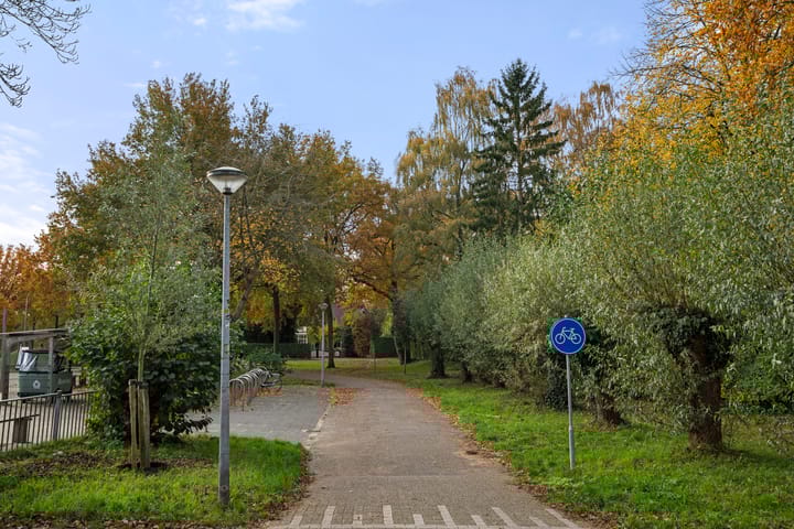 Photo 6 of Boterbloem 10