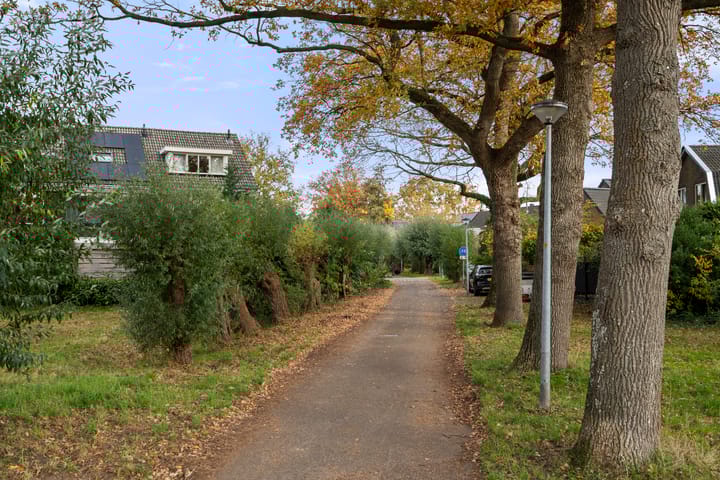 Photo 7 of Boterbloem 10