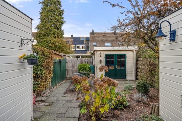 Photo 10 of Boterbloem 10