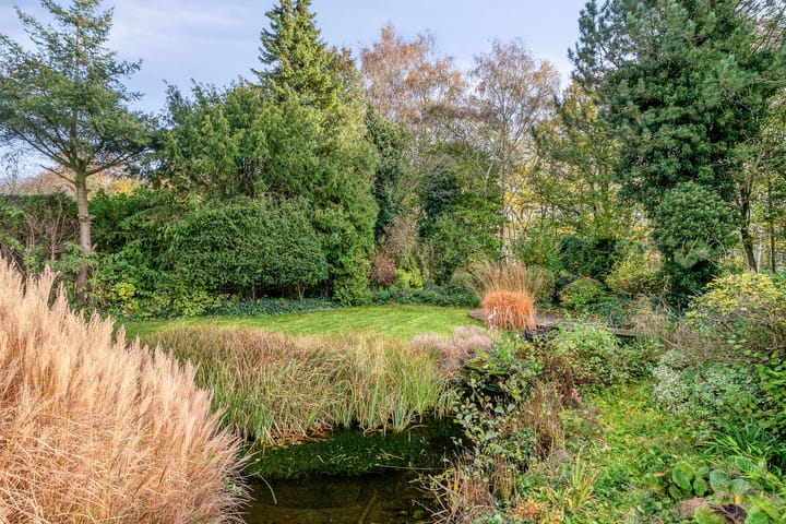 Photo 43 of Kiekendieflaan 6