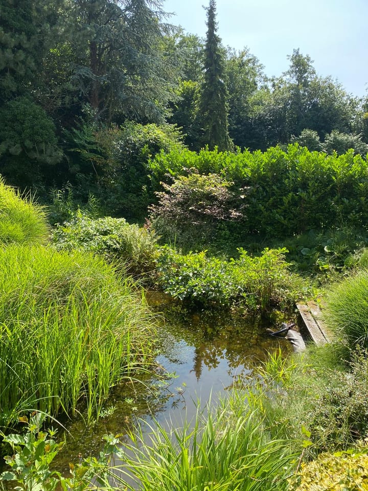 Photo 45 of Kiekendieflaan 6