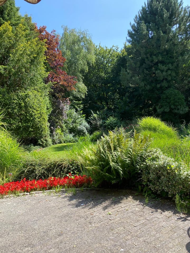 Photo 46 of Kiekendieflaan 6