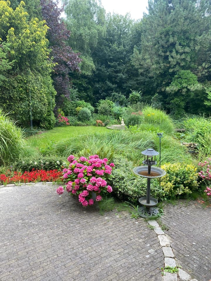 Photo 47 of Kiekendieflaan 6