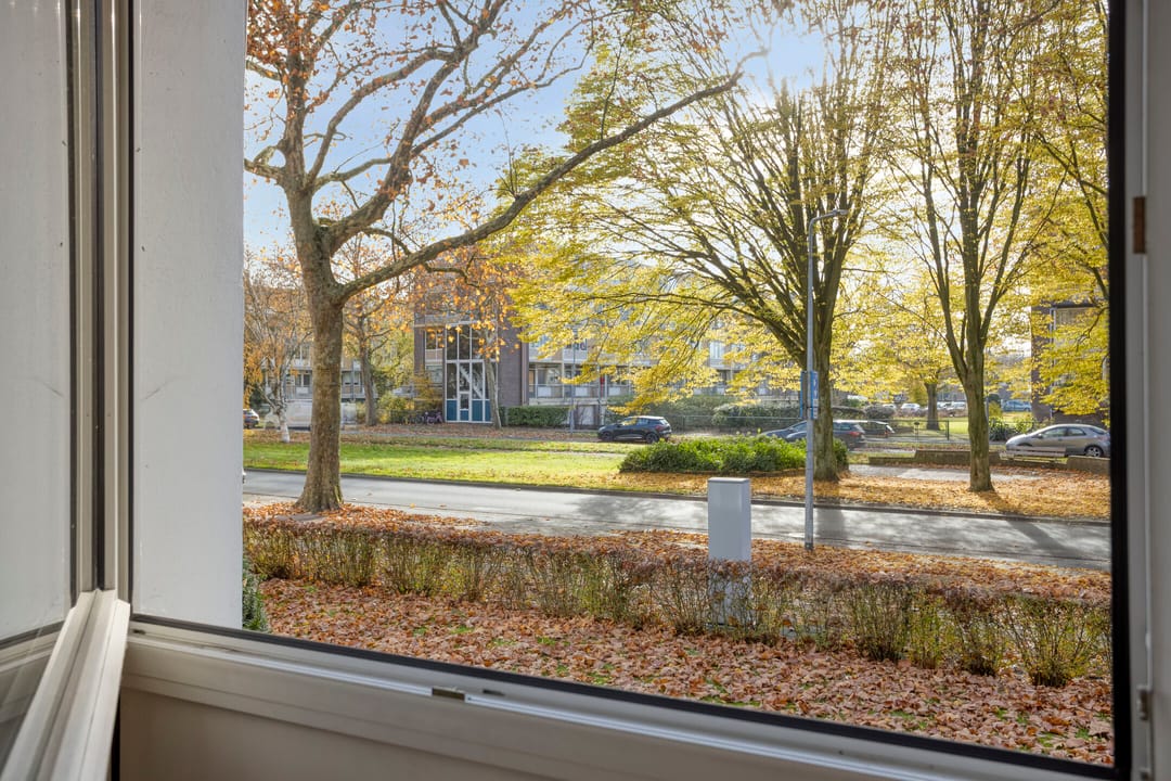 Foto 8 van Diependaalselaan 358