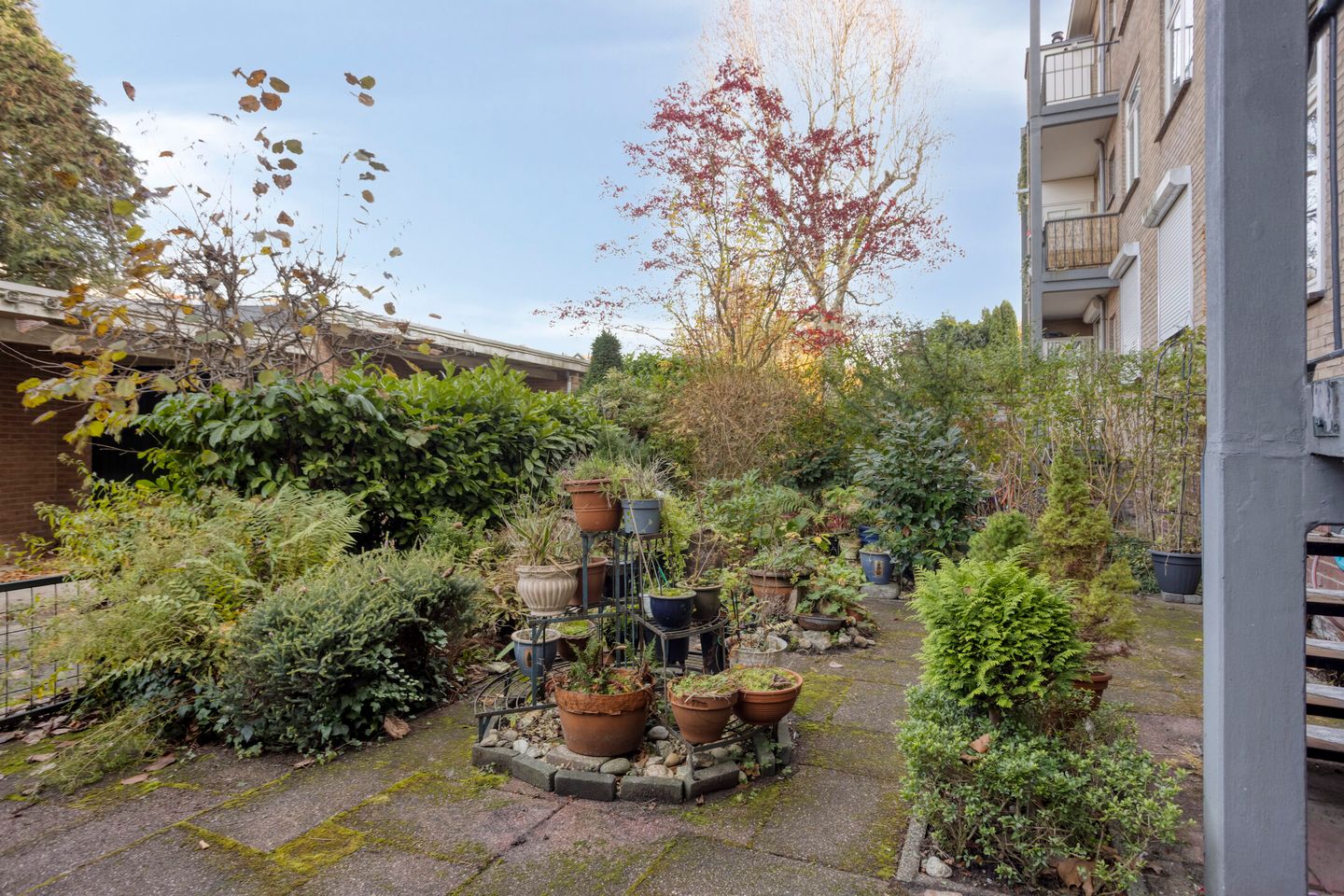 Foto 20 van Diependaalselaan 358