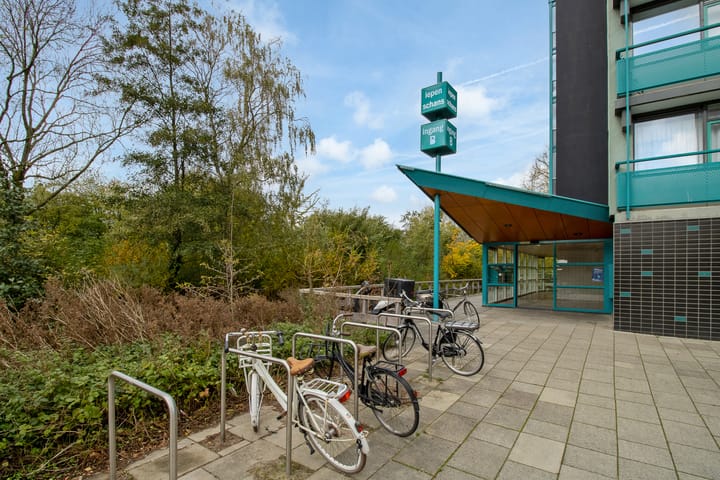 Photo 4 of Iepenschans 40