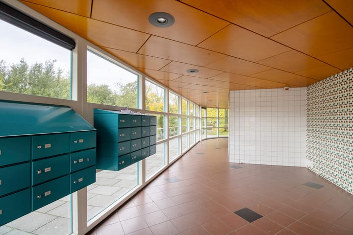 Photo 5 of Iepenschans 40