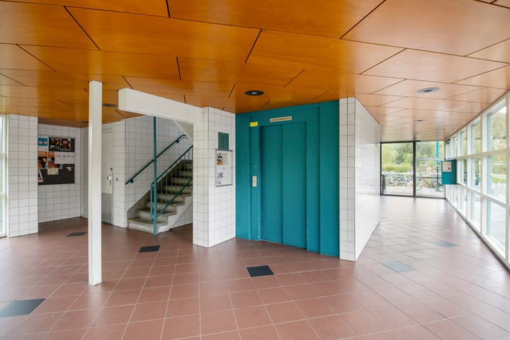 Photo 6 of Iepenschans 40