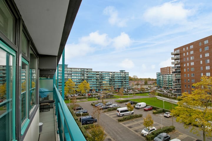 Photo 30 of Iepenschans 40