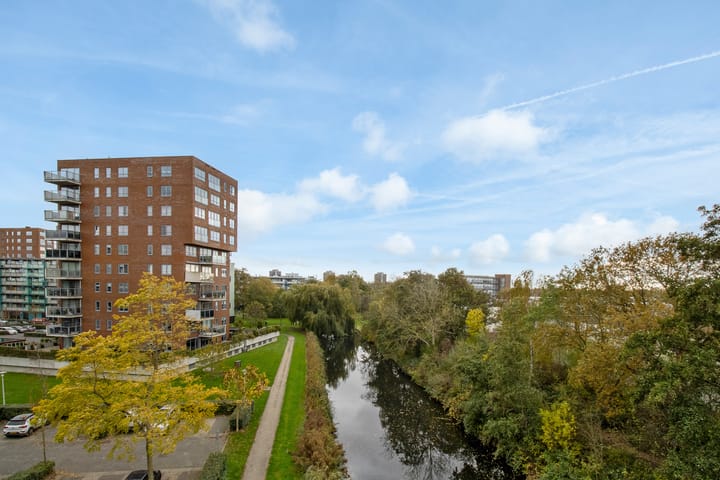 Photo 31 of Iepenschans 40